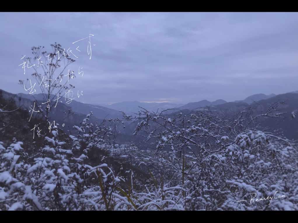 探探猫历险记2